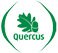 Quercus
